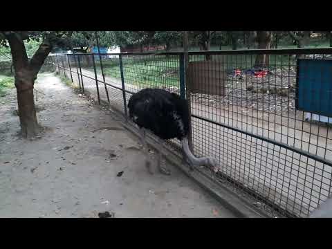 Day Tour Travel Bangladesh National Zoo