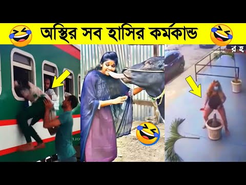 অস্থির সব হাসির কর্মকান্ড 😂 funny fact | Bangla funny video | crazy event