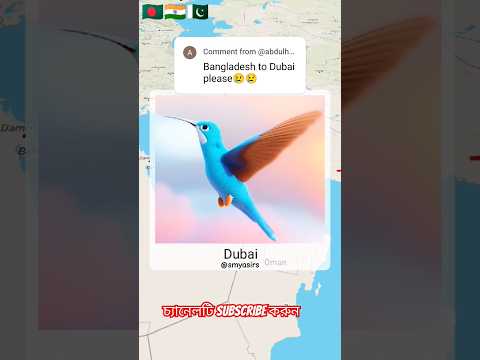 বাংলাদেশ থেকে দুবাই এর | Bangladesh to Dubai city #shorts #travel #shortsvideo #shortsfeed