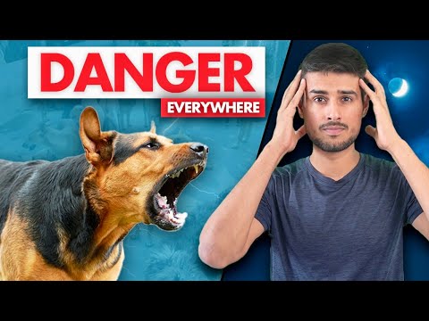 India has a Big Stray Dogs Problem | Dhruv Rathee