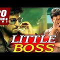 Little Boss (2018) South Indian Movies Dubbed In Hindi Full Movie | Nani, Haripriya, Bindu Madhavi