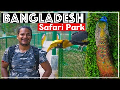 Bangladesh Safari Park 🇧🇩 |  Gazipur Safari Park |  Bangabandhu Safari Park Travel Guide