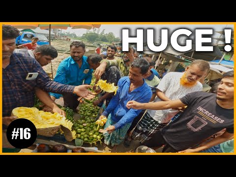 This Bangladeshi Fruit can feed whole village | Pakistan to Bangladesh [S.3 Ep.16]