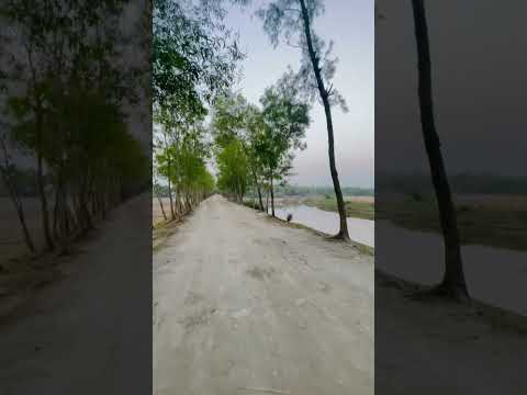 🥰🥰❤️ #shortvideo #nature #travel #bangladesh #nature #youtubeshorts #reels