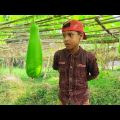 বাপ বেটার লাউ চুরি 😂😂 | Motaleb Funny Video | Friends Family Tv | Bangla Funny Video 2024