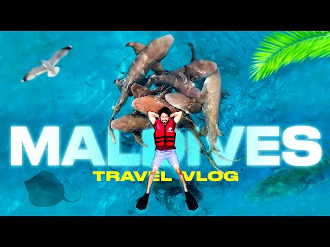 MALDIVES Travel Vlog  | Shark Swimming | Male | Maafushi | Gulhi