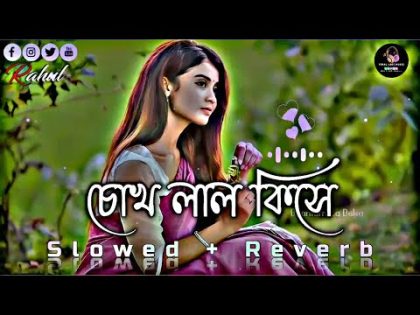 চোখ লাল কিসে | Chokh lal kise | Bangla New Viral Lofi Song | (Slowed+Reverb) Lofi Song 2024