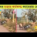 পশুদের মজার কর্মকান্ড  😂 | Funny Animals Video 2023| Part-12 |  Mayajaal | Bangla Rides