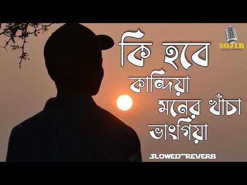 কি হবে কান্দিয়া | মনের খাঁচা ভাঙ্গিয়া | Moner Khacha Vangiya Bangla Song | Slowed Reverb