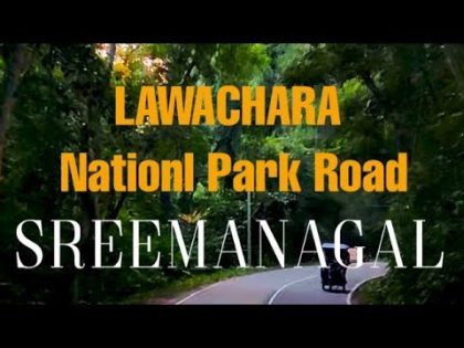 The beautiful Lawachara National Park in Sreemangal | Beautiful Bangladesh #bangladesh #reels
