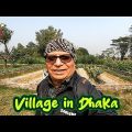Walking in Village of Bangladesh | My One Day Travel Vlog | একদিনেই ঢাকার কাছের গ্রামে বেড়িয়ে আসুন