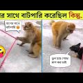পশুদের মজার কর্মকান্ড  😂 | Animals Funny Video 2024| Part-13 |  Mayajaal | Bangla Rides