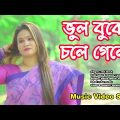 Vul Bujhe Chole Gele | ভুল বুঝে চলে গেলে | Md Faruk | Bangla Music Video Song 2024