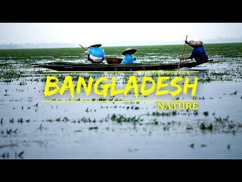Bangladesh Nature Videos With Healing Music || Bangladesh Nature Documentary