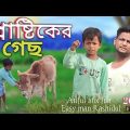 প্লাষ্টিকের গেছ@ARIFULMIXFUN new bangla comedy video 2024