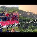 Tea Garden, Sylhet | বাংলাদেশের  চা বাগান| Travel Video 2024 | Beautiful Bangladesh