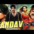 Tandav – Nagarjuna South Indian Full Action Superhit Movie Dubbed In Hindi | Prakash Raj, Anushka S.