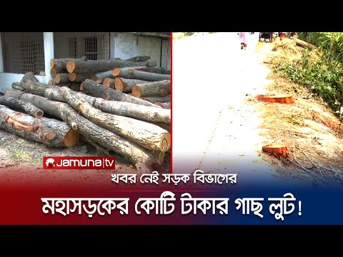 নাকের ডগায় বসে কোটি টাকার গাছ লুট | Barishal Tree | Jamuna TV
