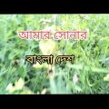 Shonar Bangladesh | সোনার বাংলাদেশ | Aly Hasan | Rap Song 2024 | Official Bangla Music Video 2024
