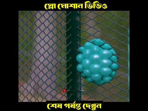স্লো মোশন ভিডিও #bangla slow motion,slow motion video,4k slow motion #shorts