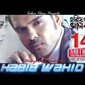 Hariye Fela Bhalobasha | Habib Wahid | Peya Bipasha | হারিয়ে ফেলা ভালোবাসা | Music Video