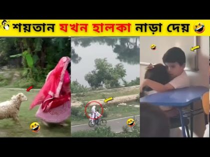 অস্থির বাঙালি😅#82🤣Bangla funny video | funny funny video | bangla tiktok | osthir bangali | Mayajaal