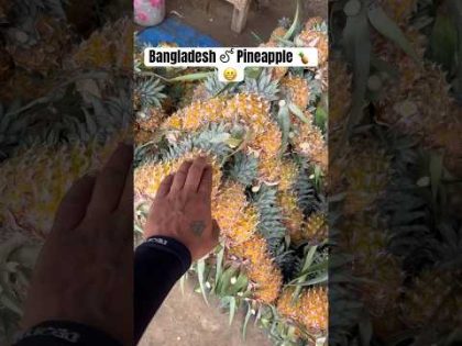 Bangladesh 🇧🇩 లో  Pineapple 🍍 తిన్నాను || Sometimes I Eat fruits 🍍