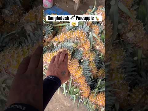 Bangladesh 🇧🇩 లో  Pineapple 🍍 తిన్నాను || Sometimes I Eat fruits 🍍