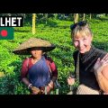 First Impressions of SYLHET 🇧🇩 Heaven on EARTH in BANGLADESH