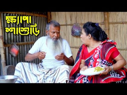 ক্ষ্যাপা শাশুড়ি | bangla natok | namaji bahu | safik | namaji bou |অনুধাবন | natok | SM NEWS