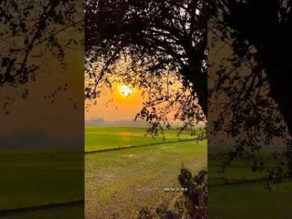 Nature Status in Bangla 4k 🌄🔥 Natural Scenery 2024  #nature #shorts #naturelover #bangladesh #travel