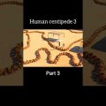 Human Centipede 3 full movie explained in Hindi/Urdu part03 #shorts