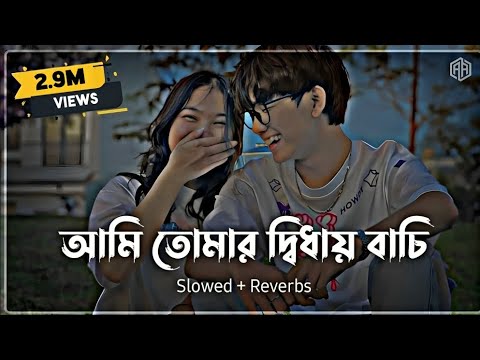 Ami Tumar Diday Bachi Lofi ( Slowed + Reverb )Minar Rahman | Ahmed Abir |Karone Okarone |Bangla Song
