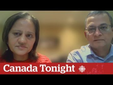 Neighbour describes what she saw at Ottawa home where killings took place | Canada Tonight