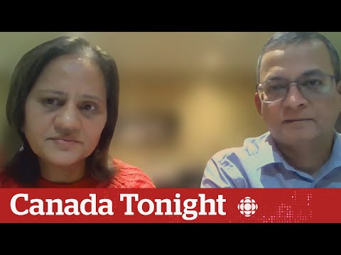 Neighbour describes what she saw at Ottawa home where killings took place | Canada Tonight